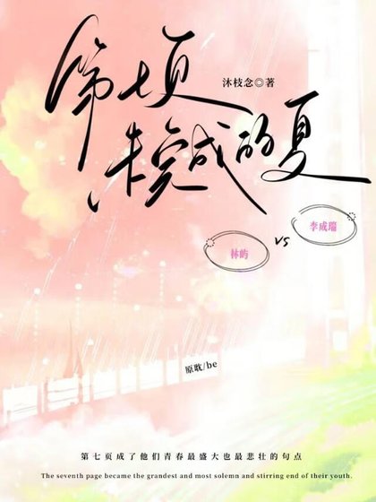 《第七页未完成的夏》
