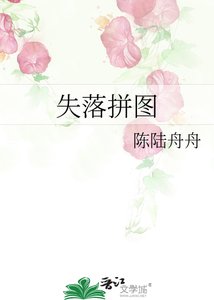 《失落拼图》