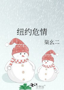 《纽约危情》