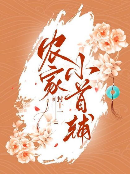 农家小首辅