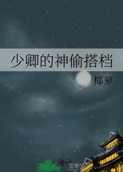 《少卿的神偷搭档》