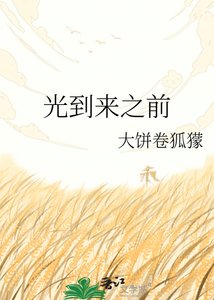 《光到来之前》