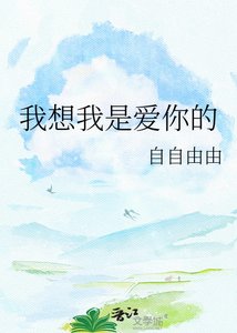 《我想我是爱你的》