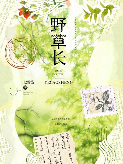 《野草长》