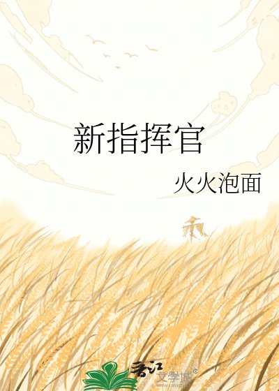 《新指挥官》