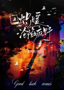 《炽暖沦陷疯野》