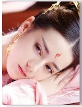 （与君歌同人）与君歌：狐狸陛下与兔子公主