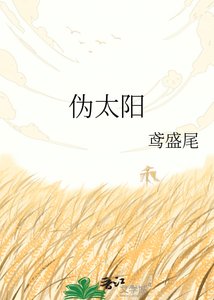 《伪太阳》