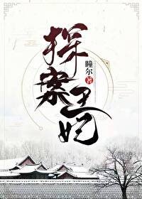 《探案王妃》