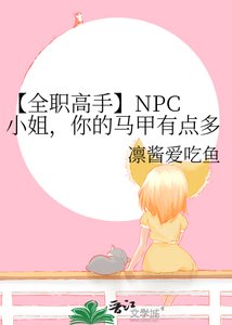 《【全职高手】NPC 小姐,你的马甲有点多》