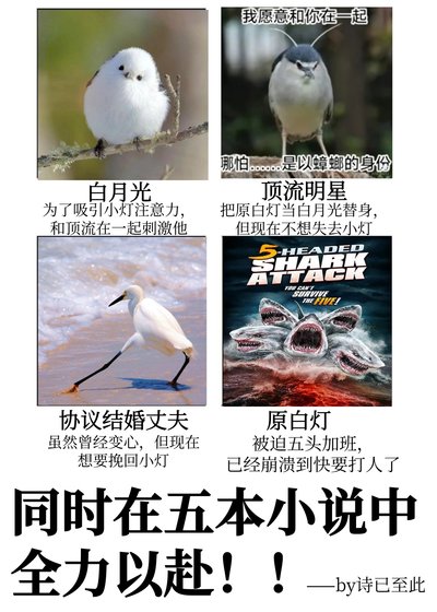 《同时在五本中全力以赴!!》