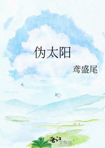 《伪太阳》