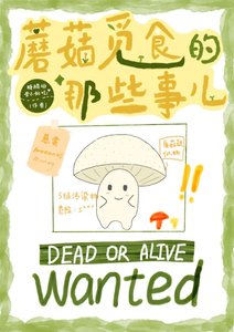 蘑菇觅食的那些事儿
