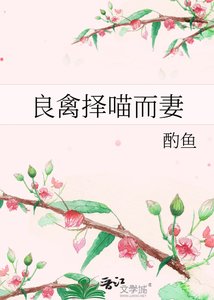 《良禽择喵而妻》