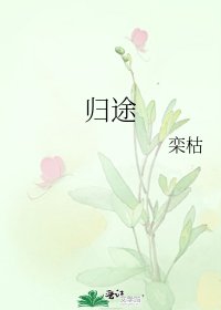 归途