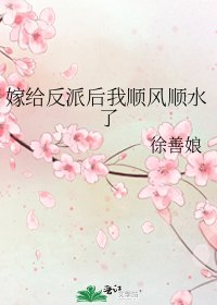 《嫁给反派后我顺风顺水了》