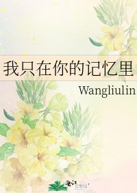 《我只在你的记忆里》