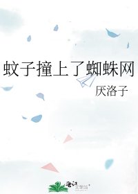 《蚊子撞上了蜘蛛网》