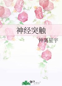 神经突触
