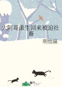 《大阿哥重生回来被迫社畜》