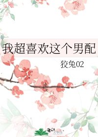 《我超喜欢这个男配》