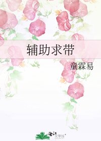 《辅助求带》