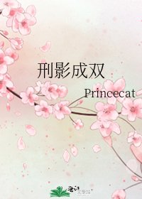 《刑影成双》