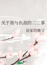 《关于我与仇敌的二三事》
