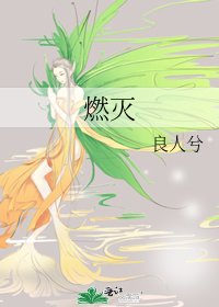 《燃灭》
