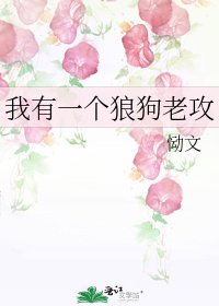 《我有一个狼狗老攻》