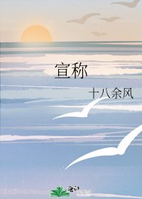 《宣称》