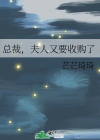 《总裁,夫人又要收购了》