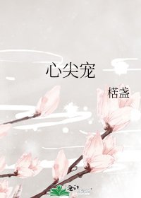 心尖宠