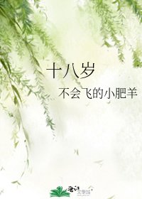 十八岁