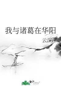 《我与诸葛在华阳》