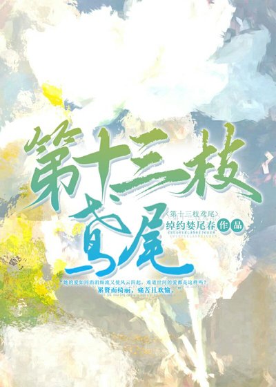 《第十三枝鸢尾》
