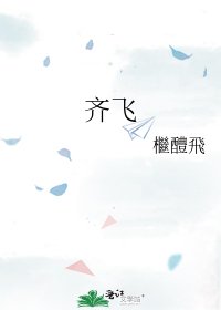 《齐飞》