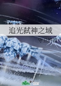 《追光弑神之域》