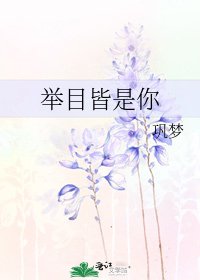 《举目皆是你》