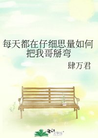 每天都在仔细思量如何把我哥掰弯