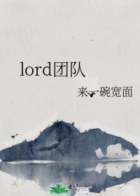 《lord团队》