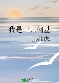 《我是一只柯基》