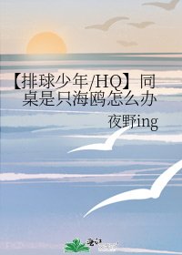 《【排球少年/HQ】同桌是只海鸥怎么办》