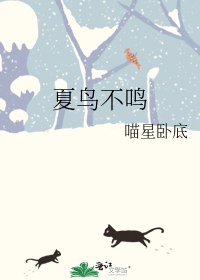 《夏鸟不鸣》