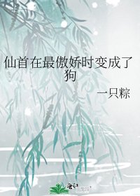 《仙首在最傲娇时变成了狗》