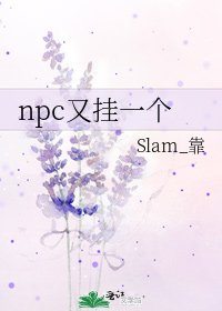 《npc又挂一个》