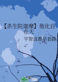 《【杀生院迦摩】他化自在天》