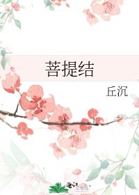 《菩提结》