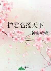护君名扬天下