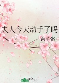 《夫人今天动手了吗》